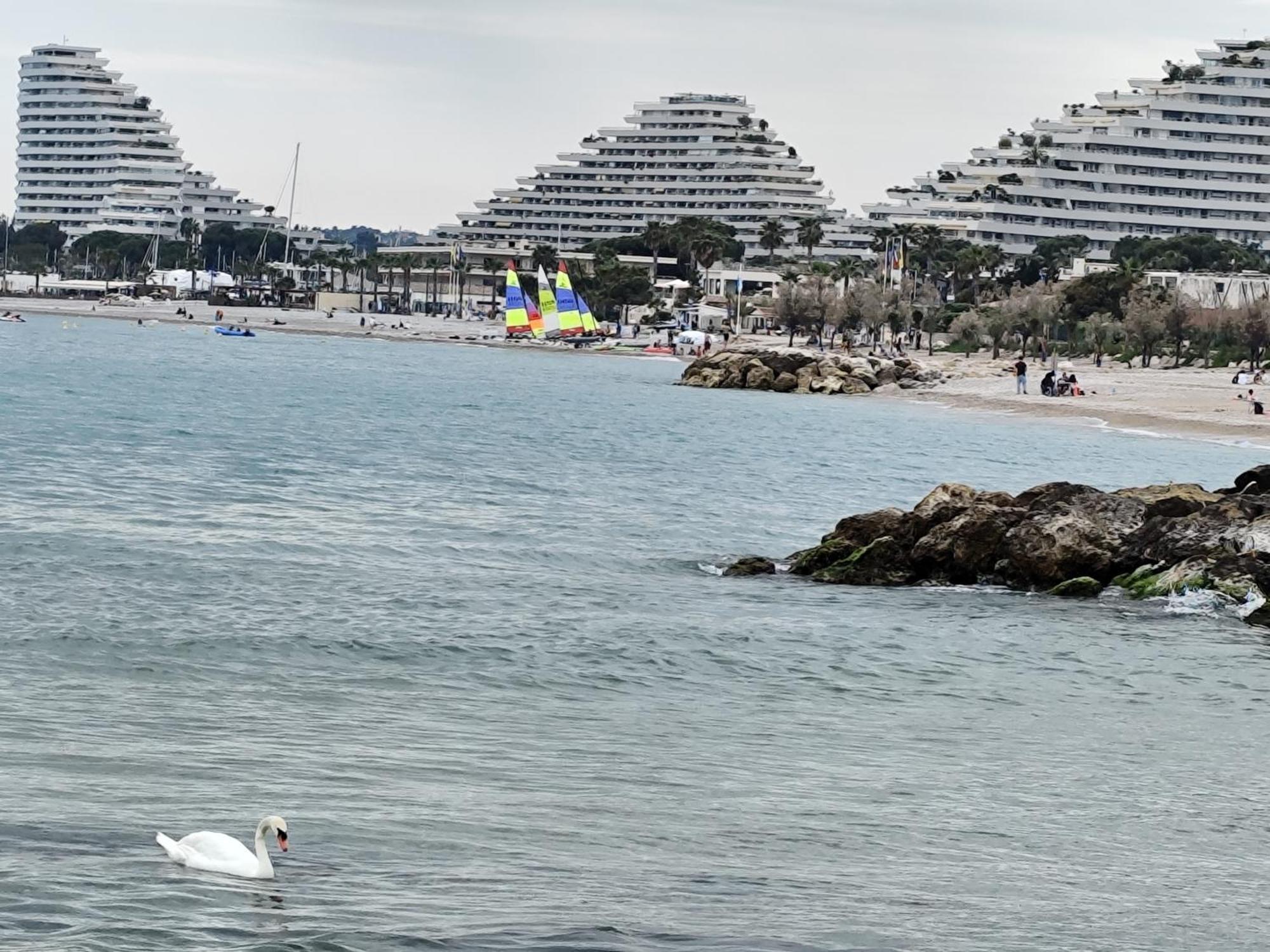 La Marina - T2 Apartment Villeneuve-Loubet Exteriör bild